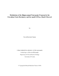 Modulation of the Hippocampal Neurogenic Program by the Circadian Clock Machinery and the Small Gtpase, Rasd1/ Dexras1
