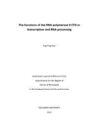 The Functions of the RNA Polymerase II CTD in Transcription and RNA Processing