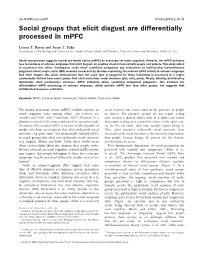 Social Groups That Elicit Disgust Are Differentially Processed in Mpfc