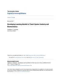Developing Learning Models to Teach Equine Anatomy and Biomechanics