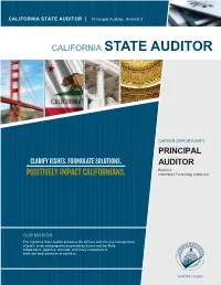 AUDITOR | Principal Auditor, Branch 2