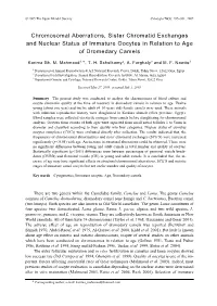 Chromosomal Aberrations, Sister Chromatid Exchanges and Nuclear Status of Immature Oocytes in Relation to Age of Dromedary Camels