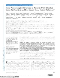 Cone Photoreceptor Structure in Patients with X-Linked Cone Dysfunction and Red-Green Color Vision Deficiency