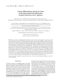 Genetic Differentiation and Species Status of the Large-Bodied Leaf-Tailed Geckos Uroplatus Fimbriatus and U