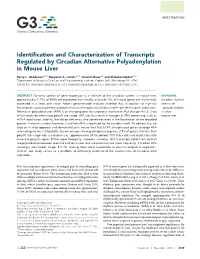 Identification and Characterization of Transcripts Regulated by Circadian