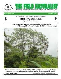 MISSING on HIKE Report by Bruce Lauckner