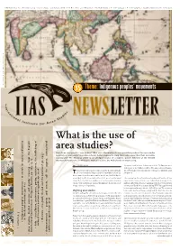 What Is the Use of Area Studies?