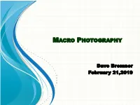 Macro Photography