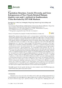 Population Structure, Genetic Diversity, and Gene Introgression of Two Closely Related Walnuts (Juglans Regia and J