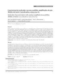Rams) De Inchi (Caryodendron Orinocense K.) Molecular Characterization with Random Amplified Microsatellites (Rams) of Inchi (Caryodendron Orinocense K.