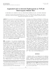 Augmented and Accelerated Nephrogenesis in TGF-␤2 Heterozygous Mutant Mice