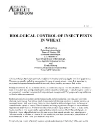 Biological Control of Insect Pests in Wheat