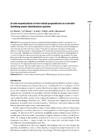 In Situ Examination of Microbial Populations in a Model Drinking