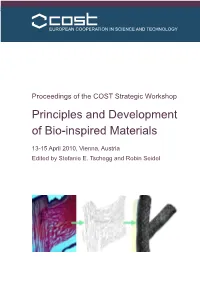 Principles and Development of Bio-Inspired Materials