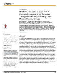 Head and Neck Veins of the Mouse. a Magnetic Resonance, Micro Computed Tomography and High Frequency Color Doppler Ultrasound Study