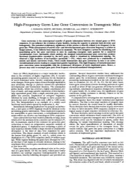 High-Frequency Germ Line Gene Conversion in Transgenic Mice J