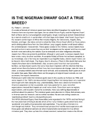 Is the Nigerian Dwarf Goat a True Breed?