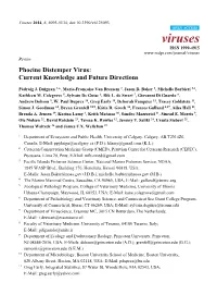 Phocine Distemper Virus: Current Knowledge and Future Directions