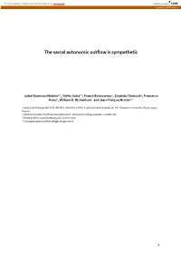 The Sacral Autonomic Outflow Is Sympathetic