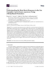Understanding the Heat Shock Response in the Sea Cucumber Apostichopus Japonicus, Using Itraq-Based Proteomics