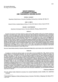 Borate Minerals. I. Polyhedml Clusters and Fundamental
