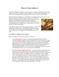 What Are Food Additives?