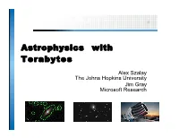 Astrophysics with Terabytes