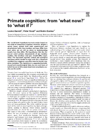 Primate Cognition: from 'What Now?' to 'What If ?'