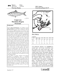 Gaspereau Maritimes Region Overview Limits, Are Implemented