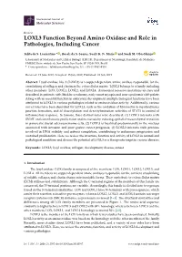 LOXL3 Function Beyond Amino Oxidase and Role in Pathologies, Including Cancer