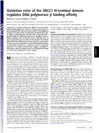 Oxidation State of the XRCC1 N-Terminal Domain Regulates DNA Polymerase Β Binding Affinity