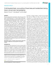 Cold-Hearted Bats: Uncoupling of Heart Rate and Metabolism During Torpor at Sub-Zero Temperatures Shannon E