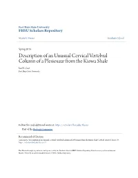Description of an Unusual Cervical Vertebral Column of a Plesiosaur from the Kiowa Shale Ian N