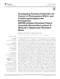 (HPPD) Inhibitor-Resistant Palmer Amaranth in Glyphosate-Resistant Maize in ﬁeld Experiments Conducted in 2015 and 2016 in Nebraska, Usaa