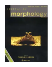 Modeling the Jaw Mechanism of Pleuronichthys Verticalis: the Morphological Basis of Asymmetrical Jaw Movements in a Flatﬁsh