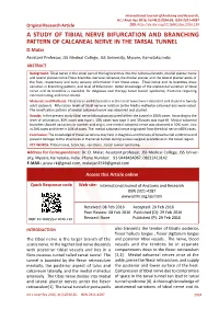 A Study of Tibial Nerve Bifurcation and Branching Pattern of Calcaneal