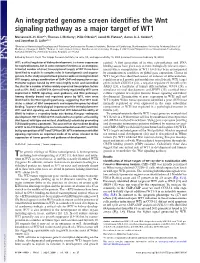 An Integrated Genome Screen Identifies the Wnt Signaling Pathway As a Major Target of WT1