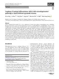 Coupling of Terminal Differentiation Deficit with Neurodegenerative Pathology in Vps35-Deficient Pyramidal Neurons
