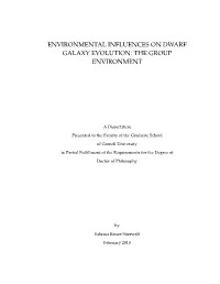 Environmental Influences on Dwarf Galaxy Evolution: the Group Environment