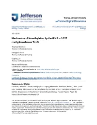 Mechanism of N-Methylation by the Trna M1g37 Methyltransferase Trm5