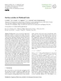 Surface Seiches in Flathead Lake