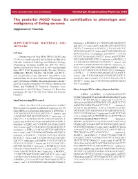 The Posterior HOXD Locus: Its Contribution to Phenotype and Malignancy of Ewing Sarcoma Supplementary Materials