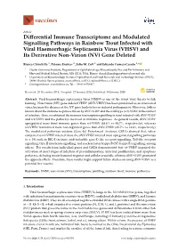Differential Immune Transcriptome and Modulated Signalling