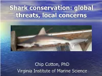 Shark Conservation: Global Threats, Local Concerns