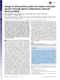 Design of Ultrasensitive Probes for Human Neutrophil Elastase Through Hybrid Combinatorial Substrate Library Profiling