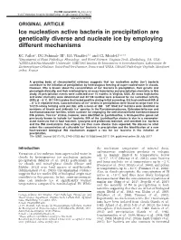 Ice Nucleation Active Bacteria in Precipitation Are Genetically Diverse and Nucleate Ice by Employing Different Mechanisms