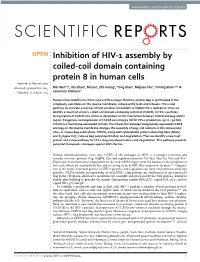Inhibition of HIV-1 Assembly by Coiled-Coil Domain Containing Protein 8 in Human Cells