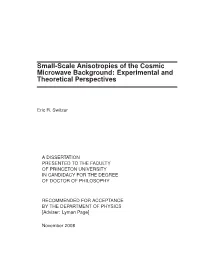Small-Scale Anisotropies of the Cosmic Microwave Background: Experimental and Theoretical Perspectives