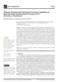 Probiotic Potential and Cholesterol-Lowering Capabilities of Bacterial Strains Isolated from Pericarpium Citri Reticulatae ‘Chachiensis’