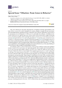 Special Issue “Olfaction: from Genes to Behavior”